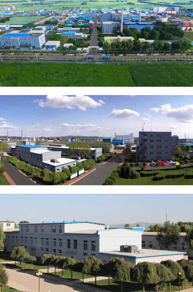 Kingchem-Liaoning-678x1024.png