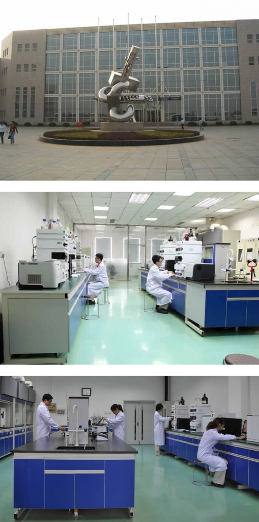 Kingchem-Dalian-RD-509x1024.png